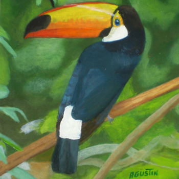 Pintura titulada "toco-toucan.jpg" por Agustin, Obra de arte original, Oleo