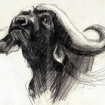 Zeichnungen mit dem Titel "Buffalo" von Agathe Deval, Original-Kunstwerk, Bleistift