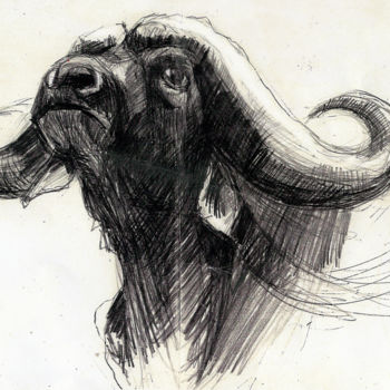 Dessin intitulée "Buffalo" par Agathe Deval, Œuvre d'art originale, Crayon