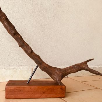 Sculpture titled "Raiz" by Famre 5, Original Artwork, Wood