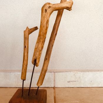 Γλυπτική με τίτλο "Cavalo marinho" από Famre 5, Αυθεντικά έργα τέχνης, Ξύλο