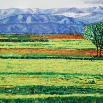 Painting titled "Landscape Pakistan…" by Ahmed Zohaib, Original Artwork, Ink