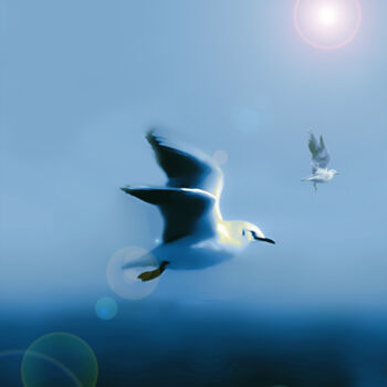 Photography titled "fly towards the goal" by Ahmet Reha Demir, Original Artwork, Manipulated Photography