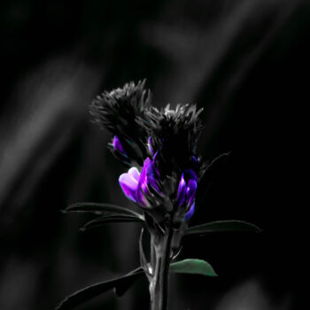 Photography titled "dark shine" by Ahmet Reha Demir, Original Artwork, Non Manipulated Photography