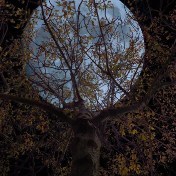 "Moonspell" başlıklı Fotoğraf Ahmet Reha Demir tarafından, Orijinal sanat, Fotoşoplu fotoğrafçılık