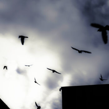 Photography titled "flyin away" by Ahmet Reha Demir, Original Artwork, Non Manipulated Photography