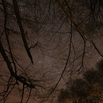 Fotografie mit dem Titel "stars" von Ahmet Cihan Güçkan, Original-Kunstwerk, Digitale Fotografie