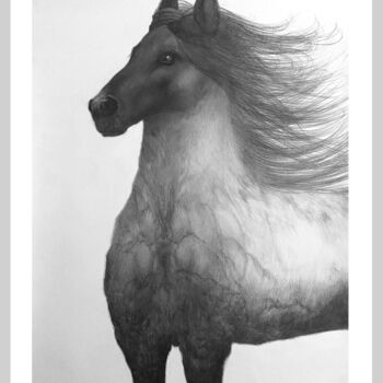 Картина под названием "Лошадь номер 1" - Aia Artist, Подлинное произведение искусства, Графит