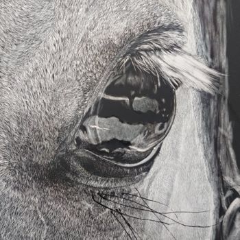 Malerei mit dem Titel "Eye of the Beholder" von Karen Nealon, Original-Kunstwerk, Scratchboard