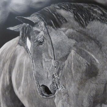 Картина под названием "Regal Mist" - Karen Nealon, Подлинное произведение искусства, Scratchboard Установлен на Другая жестк…