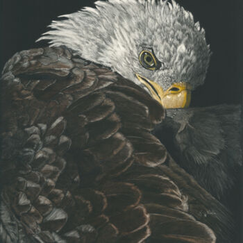 Painting titled "Comeback Kid" by Karen Nealon, Original Artwork, Scratchboard Mounted on Other rigid panel