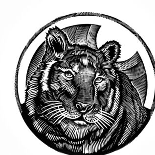 Gravures & estampes intitulée "Тигр" par Anton Liapichev, Œuvre d'art originale, Gravure