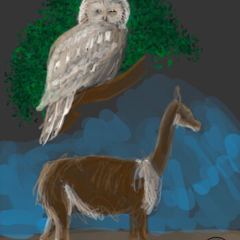 Digital Arts titled "Owl and llama" by Alain Galet, Original Artwork, Digital Painting