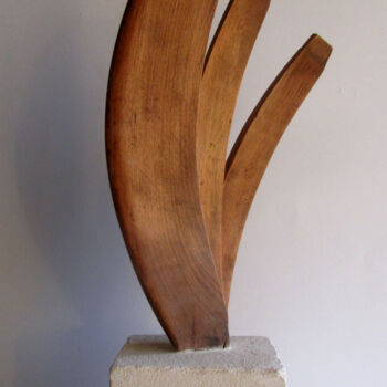 Sculpture titled "BOOMERANG" by Alain Lamy, Original Artwork, Wood