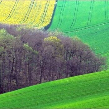 Photography titled "graphisme rural" by Alain Navarro, Original Artwork