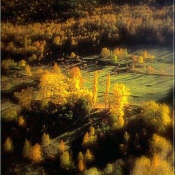 Photography titled "foret d'automne" by Alain Navarro, Original Artwork