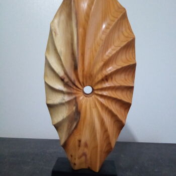 Sculpture titled "RELIEF COQUILLE" by Alain Polydor, Original Artwork, Wood