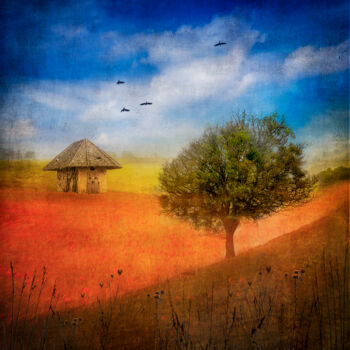 Photography titled "Paysage imaginaire" by Alain Rappeneau, Original Artwork, Manipulated Photography