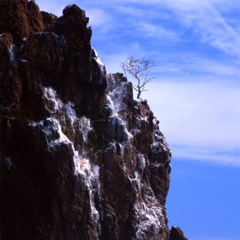 Fotografie mit dem Titel "The lonely tree" von Alain Rempfer, Original-Kunstwerk