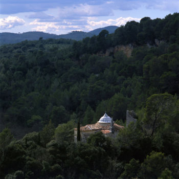 Φωτογραφία με τίτλο "Lost in the trees" από Alain Rempfer, Αυθεντικά έργα τέχνης, Φωτογραφική ταινία