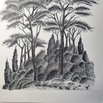 Drawing titled "nature" by Alain Ternat, Original Artwork, Ink