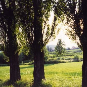 Photographie intitulée "les 3 arbres mittel…" par Joe, Œuvre d'art originale