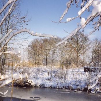 Photographie intitulée "paysage hivernal" par Joe, Œuvre d'art originale