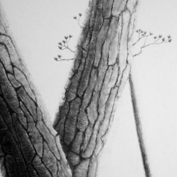 Dessin intitulée "Les pins (détail)" par Isabelle Albasio, Œuvre d'art originale