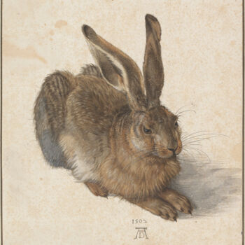 绘画 标题为“Le lièvre” 由Albrecht Dürer, 原创艺术品, 水彩