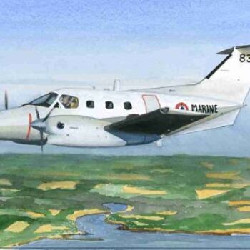 Peinture intitulée "xingu aeronavale" par Alain Delafosse, Œuvre d'art originale
