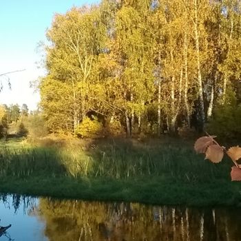 Fotografia intitulada "Autumn birch reflec…" por Marina Alexandrova, Obras de arte originais