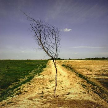 Photographie intitulée "Tree" par Aleks Demidoff, Œuvre d'art originale