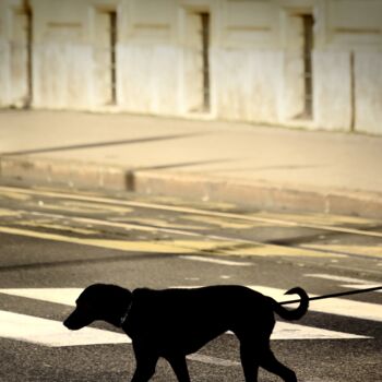 Fotografie mit dem Titel "Underdog" von Alen Gurovic, Original-Kunstwerk, Nicht bearbeitete Fotografie