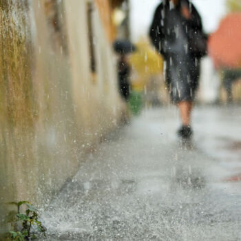 Fotografie mit dem Titel "Rainy day v2" von Alen Gurovic, Original-Kunstwerk, Nicht bearbeitete Fotografie