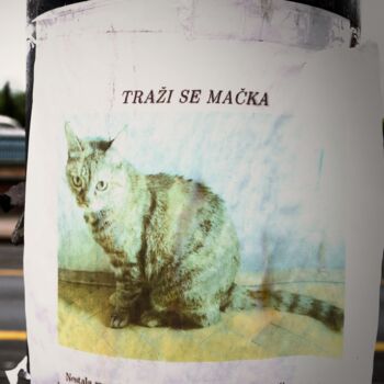 Fotografie getiteld "Traži se mačka -  L…" door Alen Gurovic, Origineel Kunstwerk, Niet gemanipuleerde fotografie