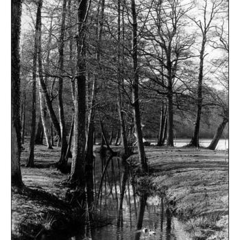 Fotografia intitulada "ruisseau" por Jean-Louis Alessandri, Obras de arte originais