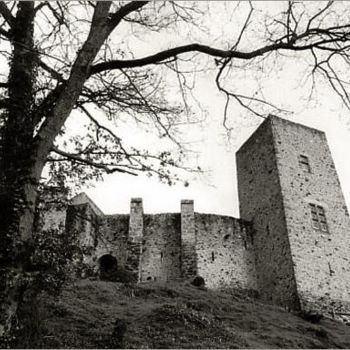 Photographie intitulée "Château de Chevreus…" par Jean-Louis Alessandri, Œuvre d'art originale