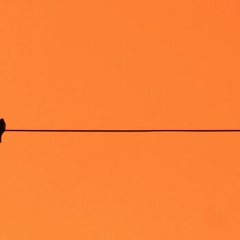 Фотография под названием "Equilibrio" - Alex Barba, Подлинное произведение искусства, Цифровая фотография