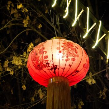 Photographie intitulée "Chinese lantern" par Alexander Kolonsky, Œuvre d'art originale, Photographie numérique