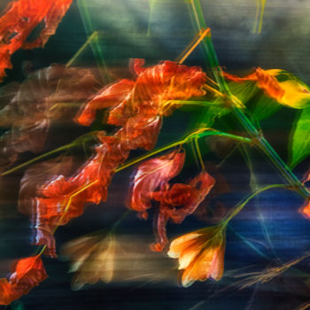 Fotografia intitolato "Autumn wind" da Alexander Mats, Opera d'arte originale, Fotografia digitale