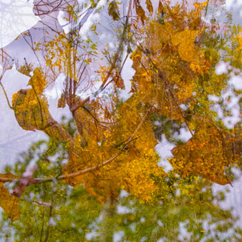 Photography titled "Cold, wet, autumn s…" by Alexander Mats, Original Artwork, Digital Photography