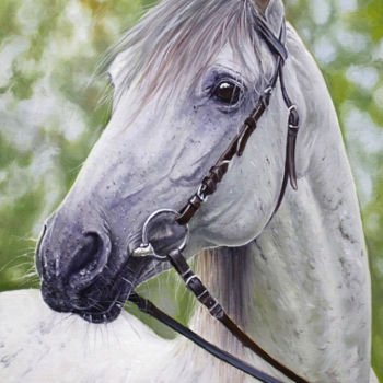 Pittura intitolato "Horse" da Alexander Volya, Opera d'arte originale, Olio