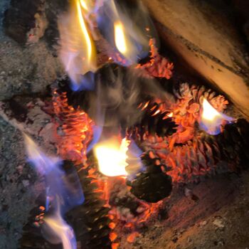 Photographie intitulée "burning fir cones" par Alexandr Ushatkin, Œuvre d'art originale, Photographie numérique