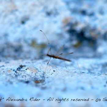 Photographie intitulée "Moon Walk" par Alexandra Rider, Œuvre d'art originale