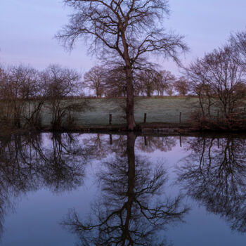 Photographie intitulée "L'arbre du lac" par Alexandre De Pommereau, Œuvre d'art originale, Photographie numérique