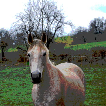 Fotografia intitulada "CHEVAL 2" por Alexandre Pons, Obras de arte originais, Fotografia digital