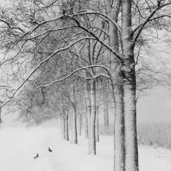 Фотография под названием "The last snow" - Alexey Sobolev, Подлинное произведение искусства, Пленочная фотография