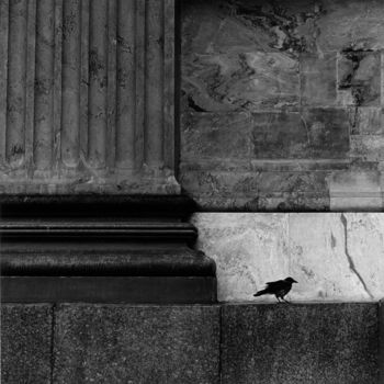 Fotografia intitulada "Ворона / Crow" por Alexey Sobolev, Obras de arte originais, Fotografia de filme