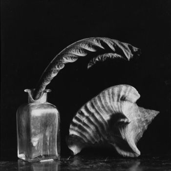 Photographie intitulée "Stilllife with a sh…" par Alexey Sobolev, Œuvre d'art originale, Photographie argentique