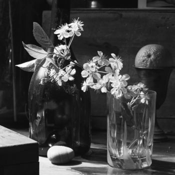Photography titled "Still life with an…" by Alexey Sobolev, Original Artwork, Analog photography